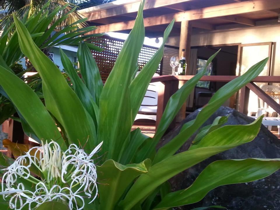Hotel Sunset Palms Rarotonga Extérieur photo